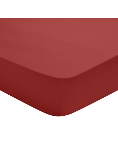 Drap Housse Studio Coton Rouge