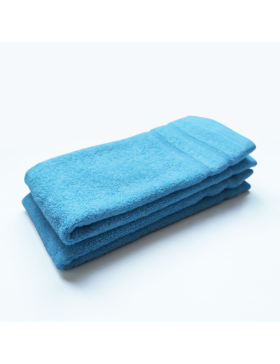 Lot de 2 Serviettes invité DODO MINERAL - Coloris TURQUOISE