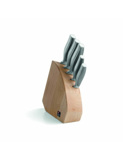 BLOC 5 COUTEAUX DE CUISINE