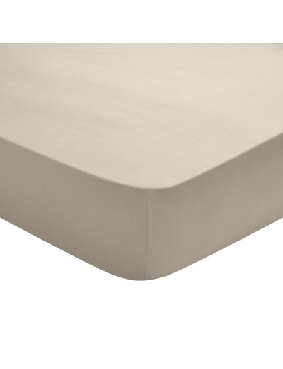 Drap Housse Studio Coton Sable