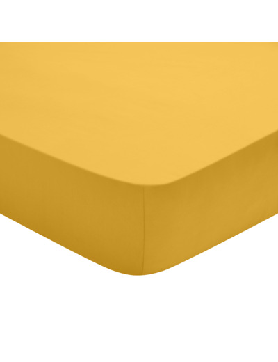 Drap Housse Studio Coton Jaune